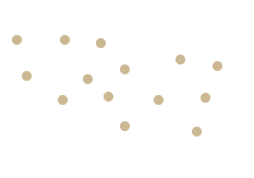 USA Dot Map