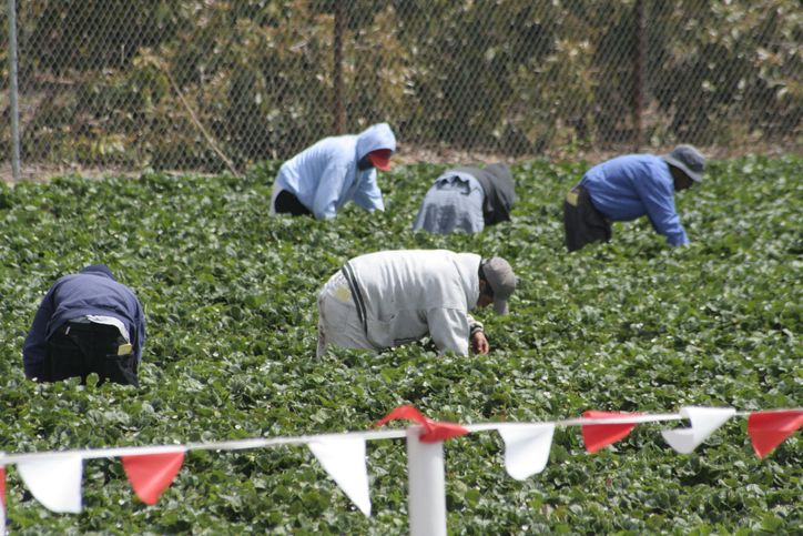 What States Pay Workers’ Comp if You’re Undocumented?