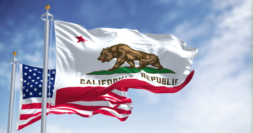 Nursing Home Abuse in California, a flag flying in a blue sunny sky