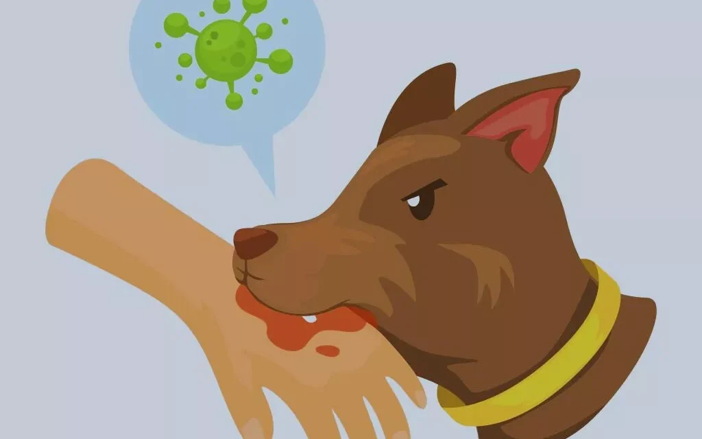 3 Dangerous Dog Bite Infections You Should Watch Out For