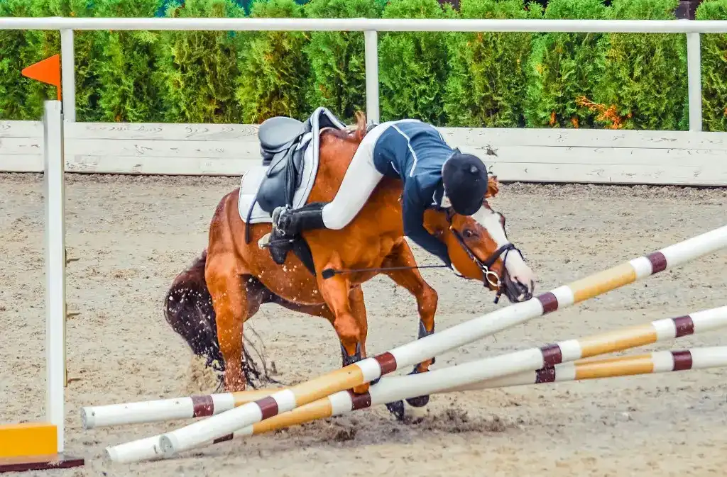 A young rider about to fall down, suffering a horse accident.