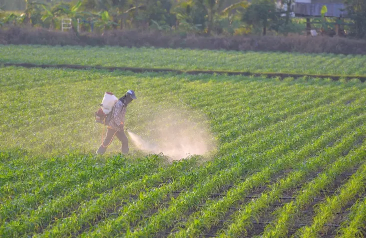 An agricultural worker spraying pesticide.
