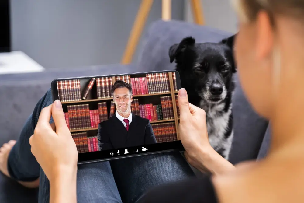 Why You Should Hire a Dog Bite Lawyer – Guide to Dog Attack Lawsuits